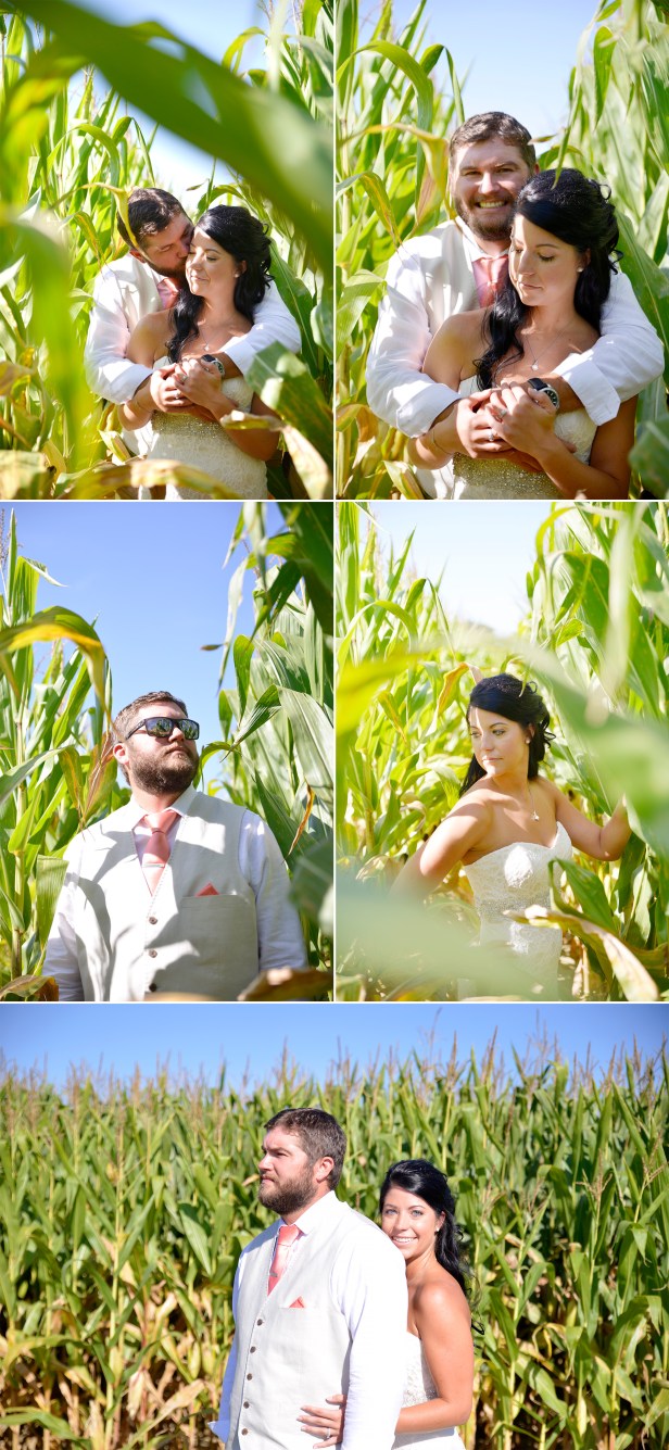 3-1-bride and groom wedding photos in corn field