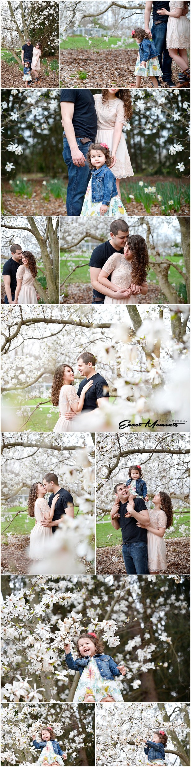 Engagement photos in Inniswood Metro Gardens