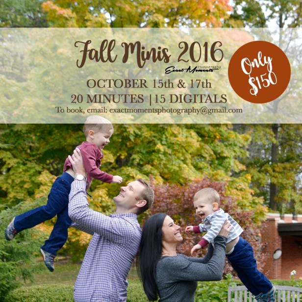 fall minis 16