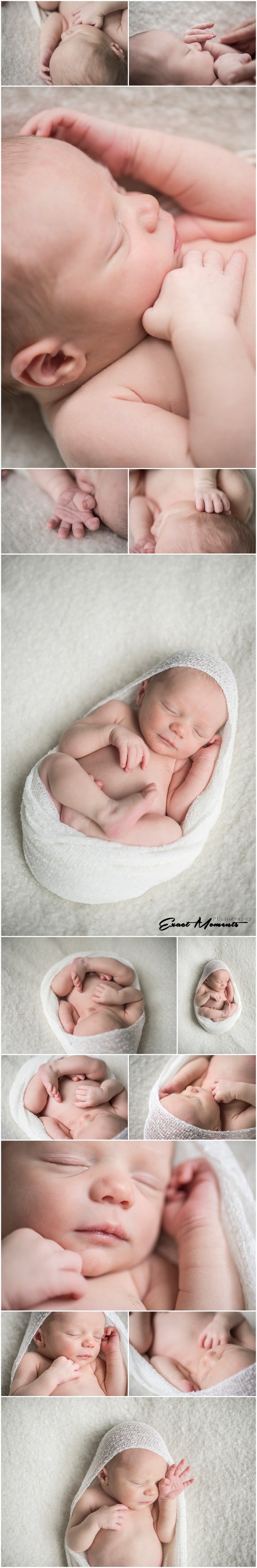 Newborn Photographers Columbus Ohio