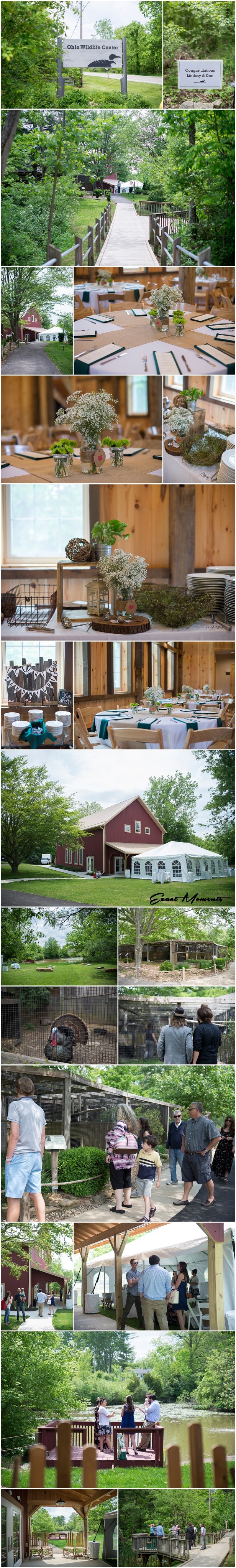 Ohio Wildlife Center Wedding Reception