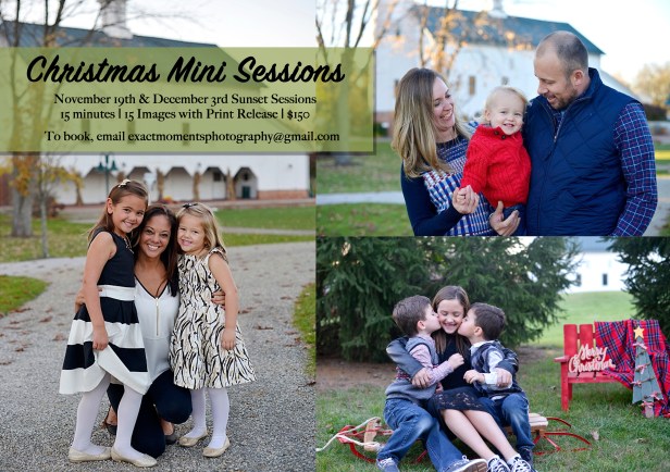 Christmas Minis 2017